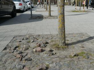 Чистота реки, цвета курорта и защита газонов